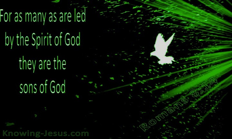 Romans 8:14 Led By The Spirit (green)